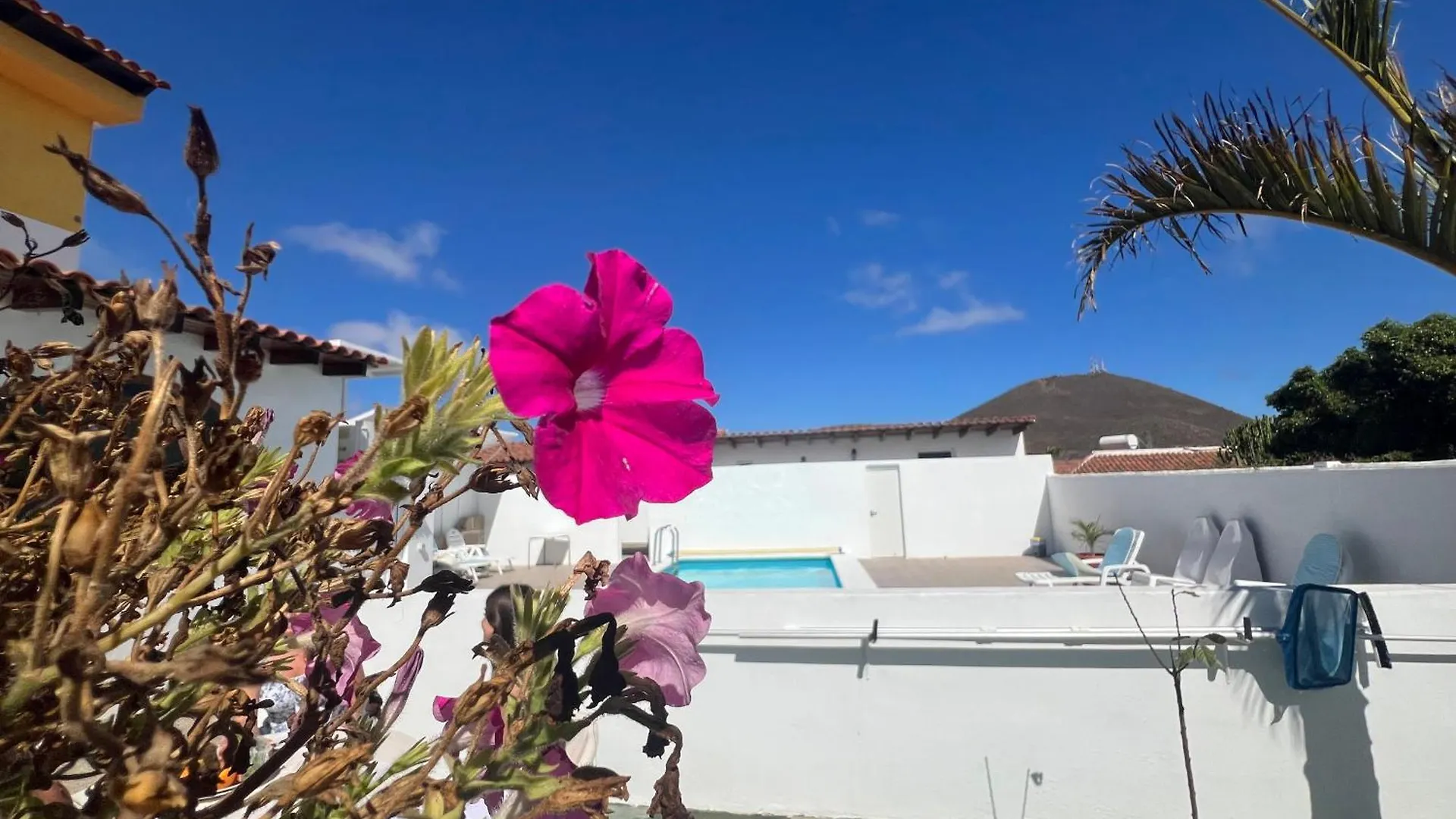 Villa Duke Con Piscina En Charco Del Pino Granadilla De Abona